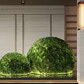 Modern Entryway Hallway Design With Illuminated Moss Balls And Reflective Flooring