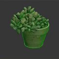 Healthy Succulent Plant With Pink And Green Fleshy Leaves In Terracotta Pot