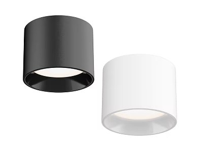Modern Black and White Cylindrical Ceiling Lights with Simple Design 3d model