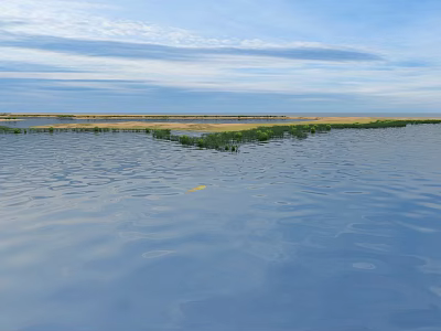 Natural Peaceful Wetland Landscape With Rippling Blue Water And Green Plants Under Bright Cloudy Sky 3d model