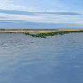Natural Peaceful Wetland Landscape With Rippling Blue Water And Green Plants Under Bright Cloudy Sky