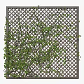 Green Leafy Vines Climbing Lattice Fence For Garden Decor Accent Piece
