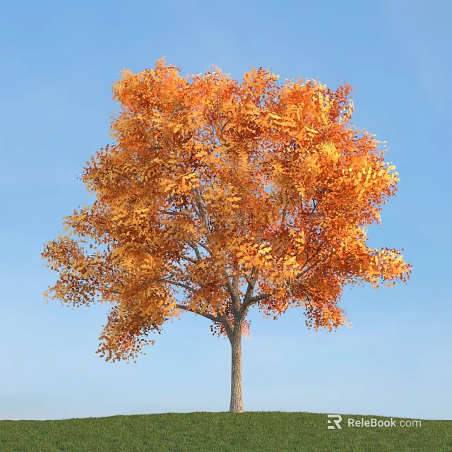 Tall Arbor With Vibrant Orange Yellow Leaves Against Clear Blue Sky 3d model 