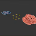 Colorful Plant Structures Featuring Blue And Pink Petal Like Forms With Small Green Circular Leaves