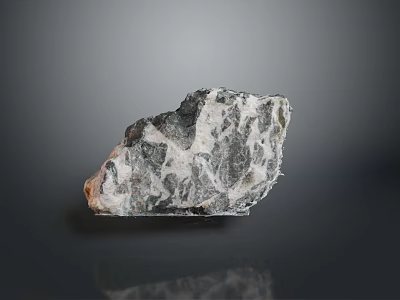 Natural Decorative Stone With Unique Gray White Textures And Irregular Shape 3d model