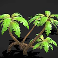 3D Model Palm Tree With Curved Knotted Trunks Green Leaves Torn Edges And Top Fruits
