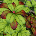 Vibrant Lush Garden Decor With Green And Red Leaves In Natural Wooden Frame