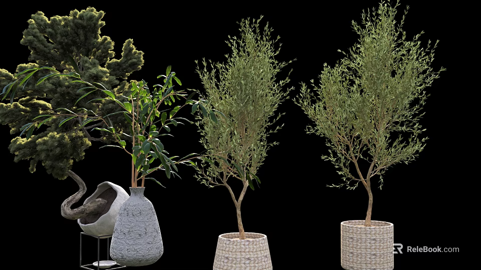 Various Bonsai Potted Plants With Wicker And Stone Planters For Indoor Decor 3d model 