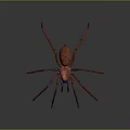 Spider With Red Body And Blue Red Legs On Gray Background 3d model