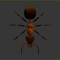 Realistic 3D Rendered Ant With Red Head Black Abdomen And Long Legs