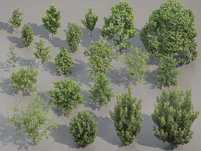 Diverse Arbor Tree Collection Featuring Various Green Foliage And Different Sizes 3d model