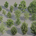 Diverse Arbor Tree Collection Featuring Various Green Foliage And Different Sizes 3d model
