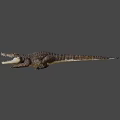 Realistic Crocodile With Open Mouth Detailed Scales And Sharp Teeth On Black Background