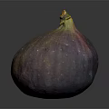 Fresh Ripe Fig with Purple Red Green Glossy Skin on Dark Background