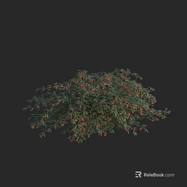 Lush Arbor With Green Leaves And Red Berries In Dense Foliage 3d model 