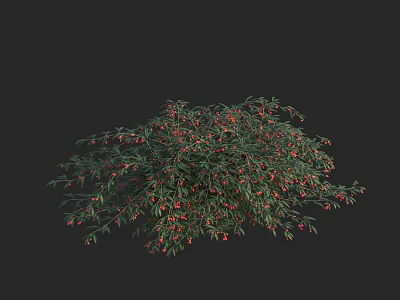 Lush Arbor With Green Leaves And Red Berries In Dense Foliage 3d model