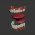3D Dental Model Showing Upper Lower Jaw With Red White Teeth Structure