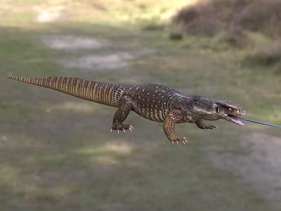 Reptile Lizard in Natural Grassland Habitat Crawling with Scales and Tongue Out 3d model