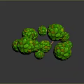 Green Spherical Plants With Yellow Spots On Orange Stems Against Dark Background
