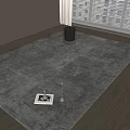 Square Gray Rug on Wooden Floor with Transparent Bin and Decorative Items