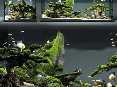 Natural Aquarium Tank With Moss Covered Rocks Pine Tree Decorations And Swimming Fish 3d model