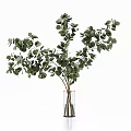 Assorted Vase Flowers With Green Eucalyptus Golden Branches And Various Green Foliage In Glass Vases