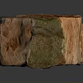 Natural Wood And Stone Material With Brown Gray Textures And Organic Surface