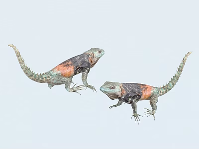 Two Reptile Lizards With Black Orange And Green Scales Standing On Light Blue Background 3d model