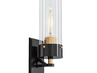 Modern Black And Gold Wall Sconce With Clear Glass Shade And Bulb 3d model