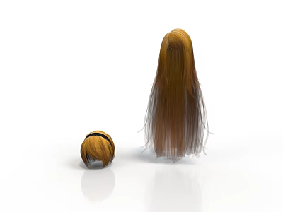 Brown Curled Hair Bun And Long Straight Hair Strand With Light Gradient On White Background 3d model