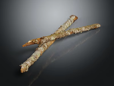 Natural Crossed Wooden Branches With Rough Bark Texture On Dark Background 3d model