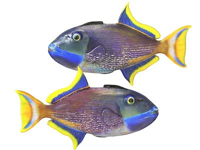 Colorful Tropical Aquatic Animals With Vibrant Blue Yellow Fins And Scales 3d model