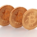 Bitcoin Gold Coin Coin Ornaments 3d model