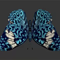 Stunning Blue And White Patterned Butterfly With Vibrant Detailed Wings 3d model