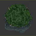 Cartoon Scene Of Block Built Green Tree With Exposed Roots On Miniature Stone Structure