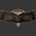 Brown and White Eagle with Spread Wings White Head and Yellow Talons on Dark Background