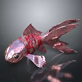 Red Metallic Goldfish With Large Tail Red Stripes On Dark Background
