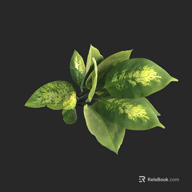 Lush Indoor Decorative Plant Featuring Green Leaves With Yellow Patterns 3d model 