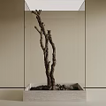 Decorative Dried Tree Branch In Glass Case With Square Base And Neutral Wall