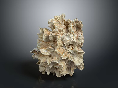 Natural Stone Wood Formation with Intricate Texture and Cream Light Brown Color 3d model