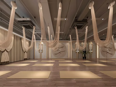 Modern Aerial Yoga Studio Spacious Interior With Hanging Hammocks And Yoga Mat Areas 3d model