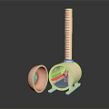 Medical Laboratory Equipment With Cylindrical Body Open Lid And Colored Internal Components