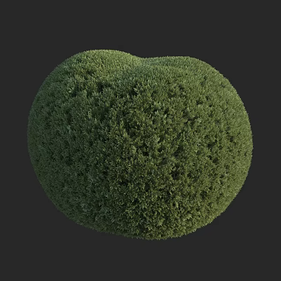 Modern Gold Wannian Grass Gold Thin Snow Wannian Grass Golden Grass Shrub 3d model