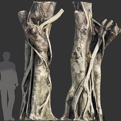 Rustic Garden Ornaments With Tree Stumps Twisted Vines And Intricate Roots 3d model