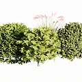 bush ball 3d model