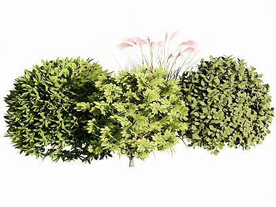 bush ball 3d model