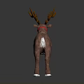 Standing Reindeer With Large Brown Antlers Red Harness White Chest And Tail Fur