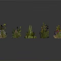 Various Small Plants of Different Types Arranged in Circle on White Background