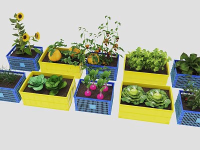 Various Vegetables Growing in Blue and Yellow Planting Baskets for Home Garden 3d model