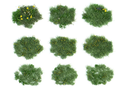 Various Green Grass Patches With Yellow Flowers For Garden Landscaping 3d model